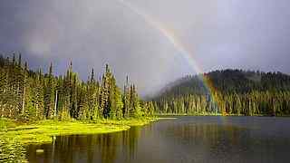 森林彩虹风景壁纸