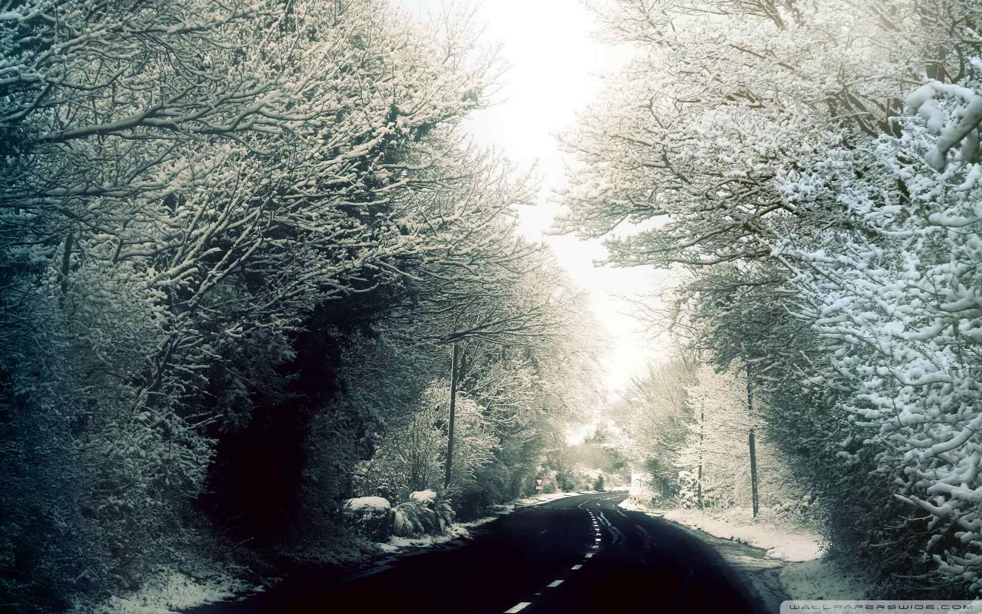 林间公路雪景壁纸