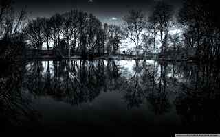 黑夜河岸枯树摄影壁纸