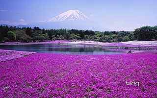 日本富士山桌面壁