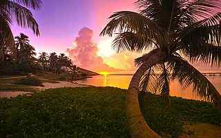 椰岛风情摄影壁纸