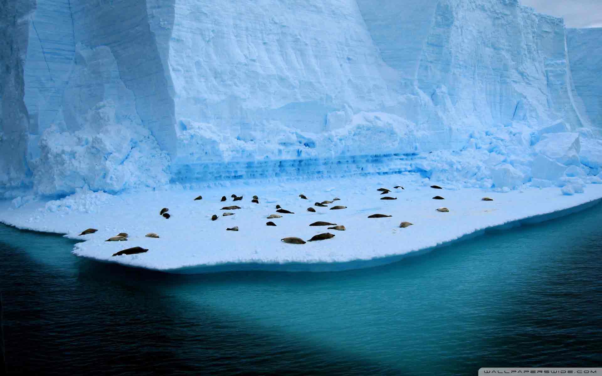 极地冰川摄影壁纸