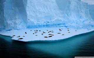 极地冰川摄影壁纸