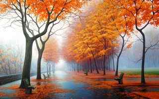 秋季剪影风景壁纸