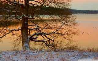 冬季湖畔风景壁纸