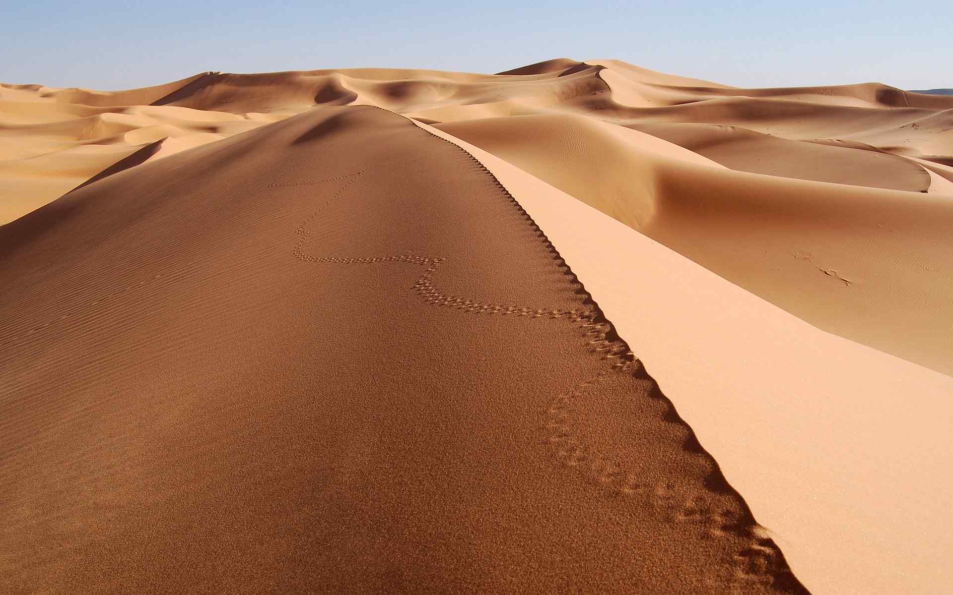 微距沙漠风景壁纸