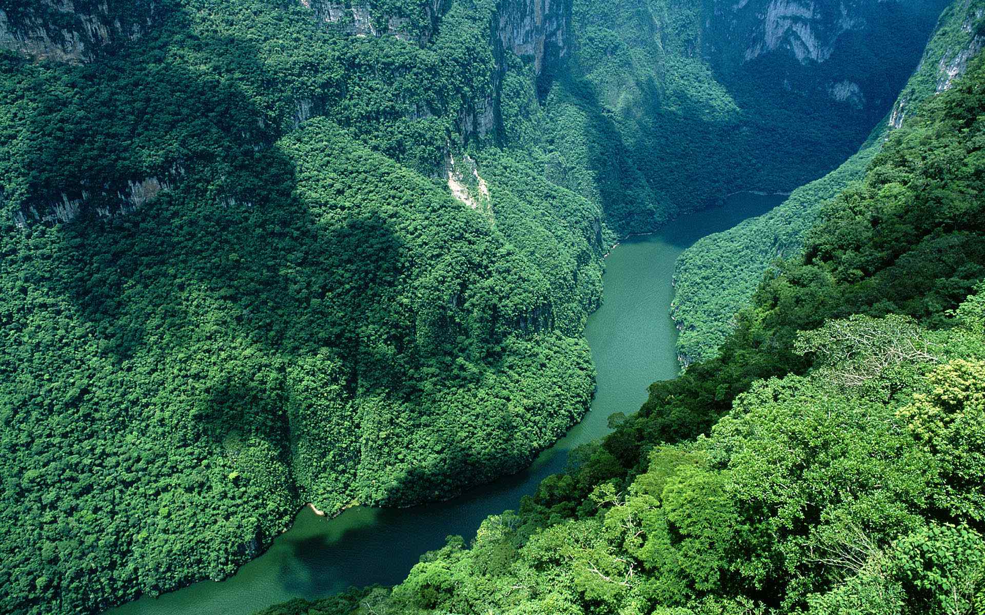 绿色峡谷风景壁纸