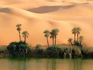 沙漠绿洲风景壁纸