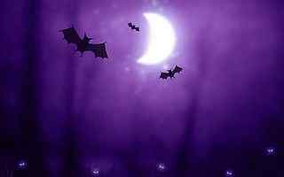 蝙蝠夜空风景壁纸