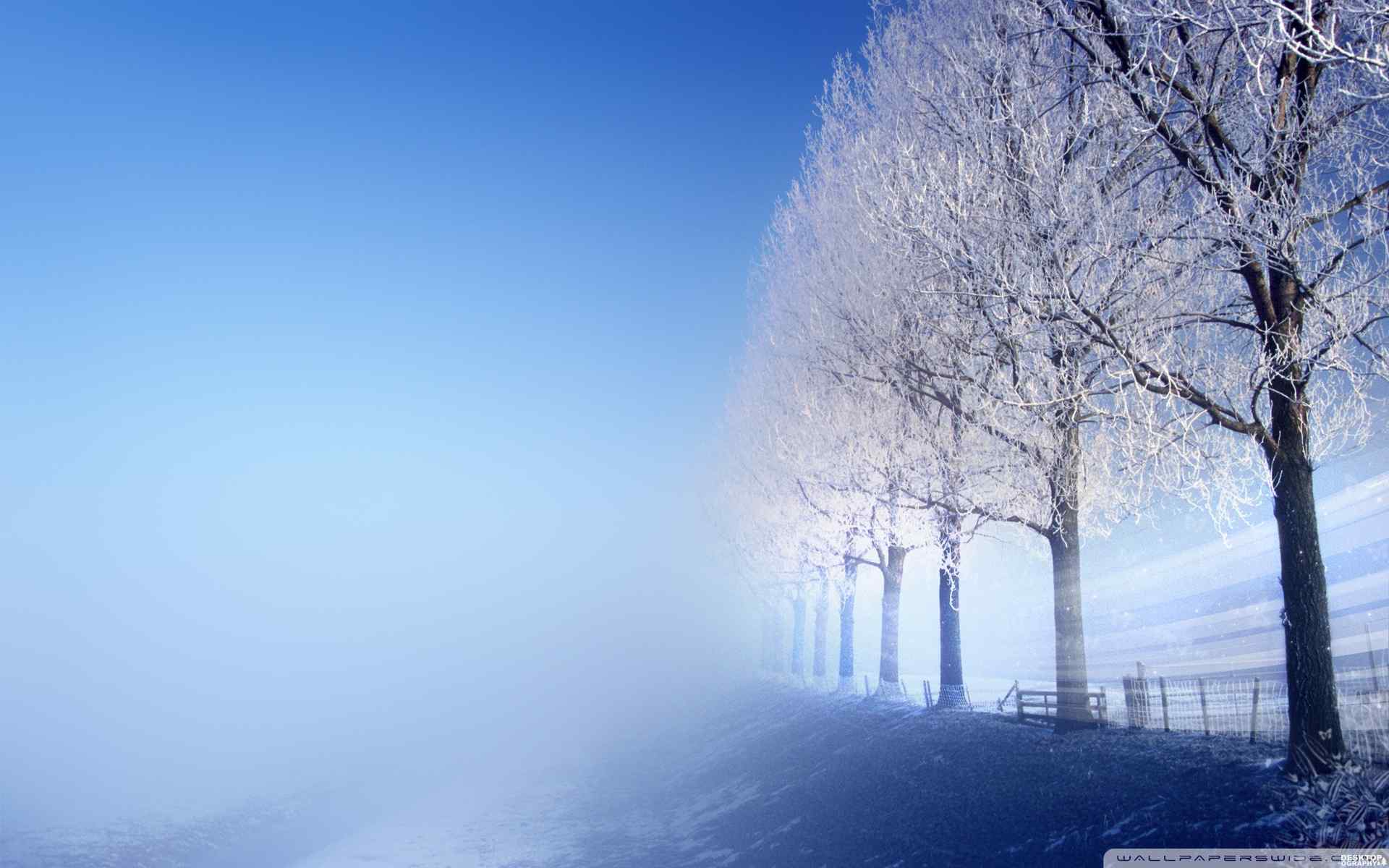 雾霭笼罩雪景壁纸