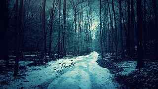 冰天雪地森林风景壁纸