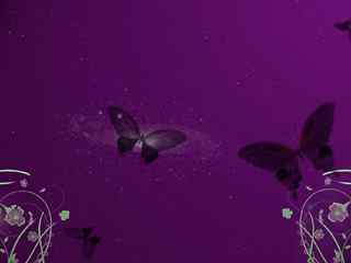 紫色矢量蝴蝶壁纸